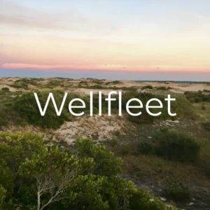 Wellfleet Thumbnail